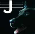 jhaempowerment.com